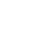 Play Icon